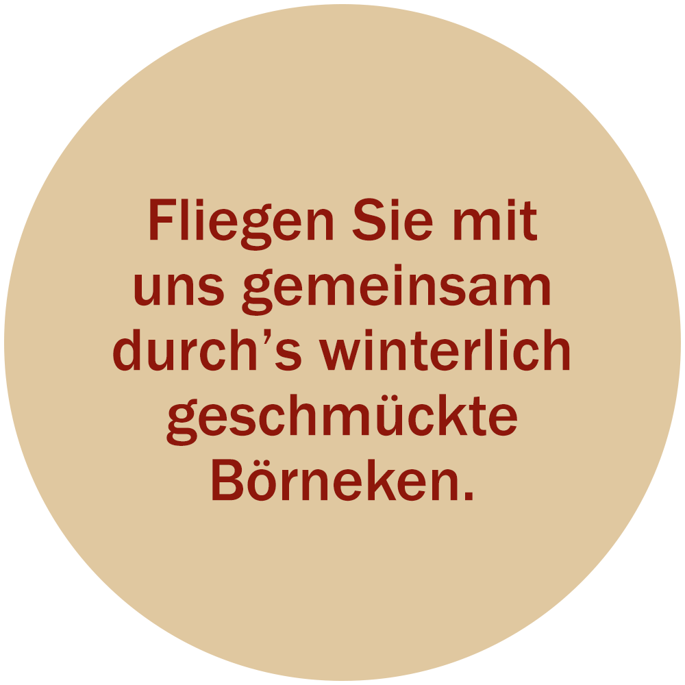 button_boernekenvideox